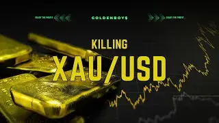 Come traccio i livelli swing e che conferme attendo su XAU/USD #xausd #trading #xau #livetrading #it