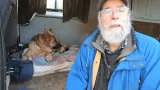 German Shepherds Dog Mobility Cart. Success or Failure?