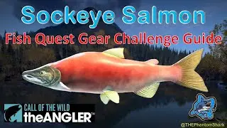 Sockeye Salmon Fish Quest Guide in the Japan Kamuibetsu Reserve in Call of the Wild: The Angler.
