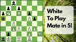 Pure Creativity In Chess | White mates in 5 | Fritz Giegold Chess Problem