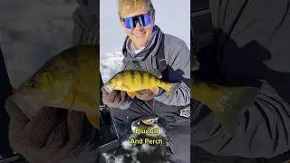 🔥Lake Winnebago Ice Fishing How-To & Winnebago Fishing Report on FishTips.com #icefishing