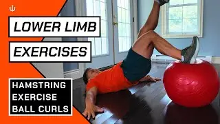 Exercise Ball Curl // Hamstring Rehab Exercises