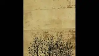 Chet Baker - I Talk To The Trees