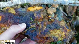 Pyritic Oxidized Outcrop With Gold, Silver & Manganese!