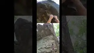 Practicing falls at Sandrock #outdoors #climbing #sportclimbing #whipper