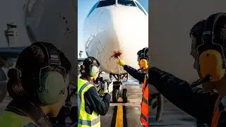 Why airplanes are painted white? | #facts #explore #viral