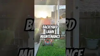 #homeownership #nascar #lawn #cuttinggrass #asmr #yardwork