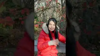 Jaana Kotamaen luovan valokuvauksen kurssi HD 1080p #shorts