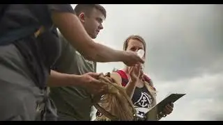 Artenkenntnis | Sehen. Erkennen. Bewahren. | Tagfalter