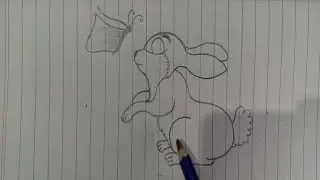 Draw in the rabbit 