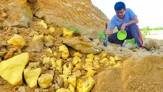 Gold Discovery! Digging for Treasure Worth Million $$ from Gold Nuggets