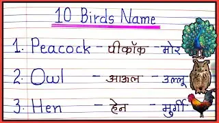 10 Birds name in english and hindi with pictures // Names of Birds with spelling // 
