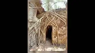 D mello house 🏠😨 #horrorfacts #story #ghost #viral #partone