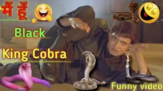 Funny Dubbing Video | Mithun Chakraborty Funny Video | Hindi Dubbing Video | Swy98ff