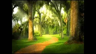 Vivaldi: Concerto No. 1 in E Major, Op. 8, RV 269: I -- 'Spring'. Allegro