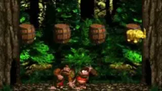 Donkey Kong Country: Vine Valley + Bonus Rooms: Levels 13-19 - 8 minutes, 3 seconds