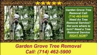 Garden Grove Tree Removal-Best Tree Removal Garden Grove