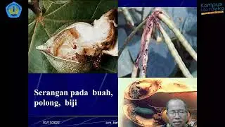 3. HPT - Ilmu Hama Tumbuhan -  Aras Luka Ekonomi dan Ambang Ekonomi Bag. 2