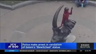 Police make arrest in vandalism of 