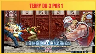 TERRY DO 3 POR 1