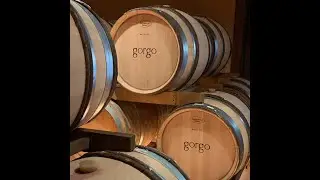 Gorgo &ndash; Organic Bardolino DOC from Lake Garda | The Good Wine Project