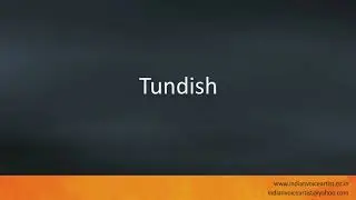 Pronunciation of the word(s) 