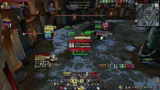 Druid Heal Arena x2, Dragonflight