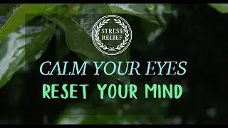 Calm Your Eyes - Reset your Mind! Slow Nature Video NEW - Best Stress Relief Method - Watch Slow