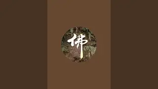 想吃湯包與蒸餃 吃了四籠爽爽的「喝茶聊天」正在直播！
