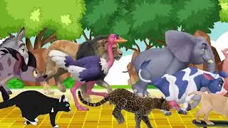 WILD ANIMALS GO CRAZY IN 3D RACING CHAOS!1 Part 69