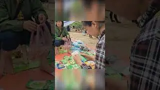 Natural disasters destroy plant vegetables to overcome the consequences Part17 #single mom #shorts