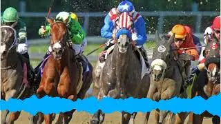 Marty Irby Voice Op-Ed: Preakness, Doping, and the Future of American Horse Racing