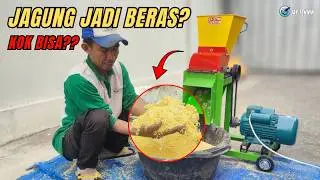 Hasil Lebih Lembut! Mesin Cacah Rumput JT-3700 Giling Jagung & Janggel Sekaligus