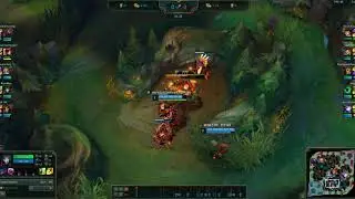 Do Zyra give the best leash?