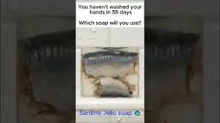 Sardine Jello Soap! #asmr #oddlysatisfying #asmrsounds #surrealart