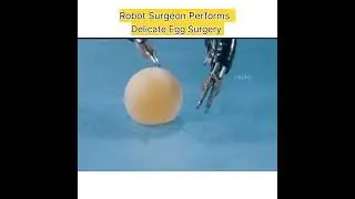 Robot Surgeon Performs Delicate Egg Surgery #robot #science