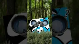 #helicoptermeme helicopter