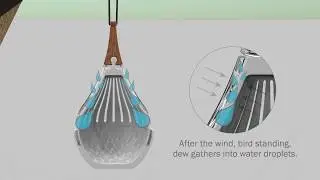 Dew Catcher
