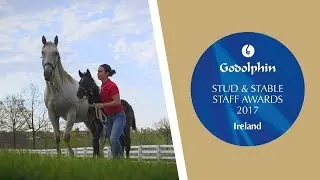 2017 Irish Stud and Stable Staff Awards - Horse Care Award Finalists