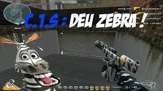 CF AL : C.1.S DEU ZEBRA !