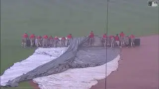 Nationals ground crew struggles with tarp: 8/9/2020