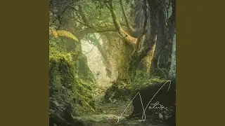 Forgotten Forest