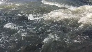 Grande espetáculo da natureza, peixes subindo as corredeiras do Rio São José #natureza #pesca 