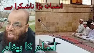 Insaan Bara Na Shukra | Shukar Guzari نا شکرا انسان | شکر گزازی