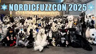 NordicFuzzCon 2025: A Magical Furcon Experience