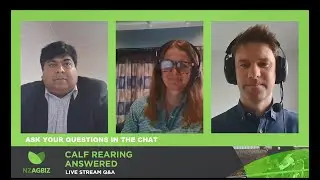 Calf Rearing Answered Livestream Q&A - 29 May 2023