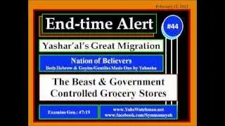 End-time Alert No 44