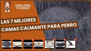 Las 7 mejores camas calmante para perro