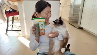 FELINE GREENIES Natural Dental Care Cat Treats Oven Roasted Chicken Flavor