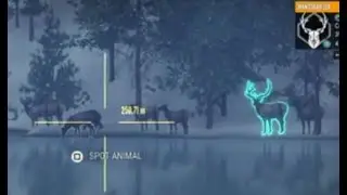 CotW: Black bear hunting while looking for wolves at Askiy Ridge